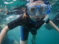 DSCN3668