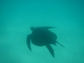 DSCN3328